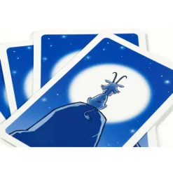 Clearance 999 Games  Bokken Schieten kaartspel