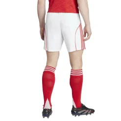 adidas Arsenal thuisshort heren 25 - 26