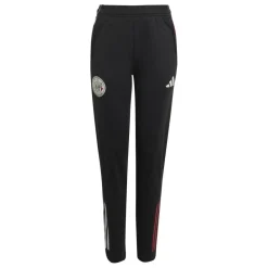 Online adidas JP17 Ajax Tiro 25 trainingsbroek junior black  white bold red