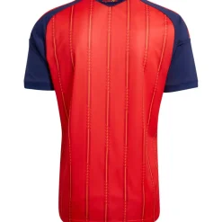 adidas Spanje thuisshirt heren 26