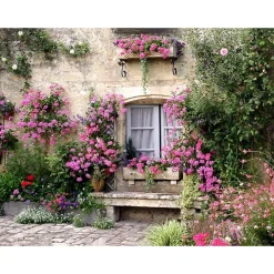 Discount All Seasons Posters  bloemenmuur 80 x 60 tuinposter