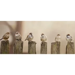 All Seasons Posters  musjes 110 x 45 tuinposter