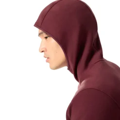 Sale Arc'teryx Kyanite Pullover hoodie heren mars