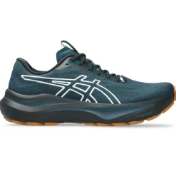 Best Asics GT-2000 14 hardloopschoenen heren nature bathing tranquil teal