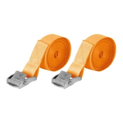 Carpoint Spanbanden met gesp 4,5 meter