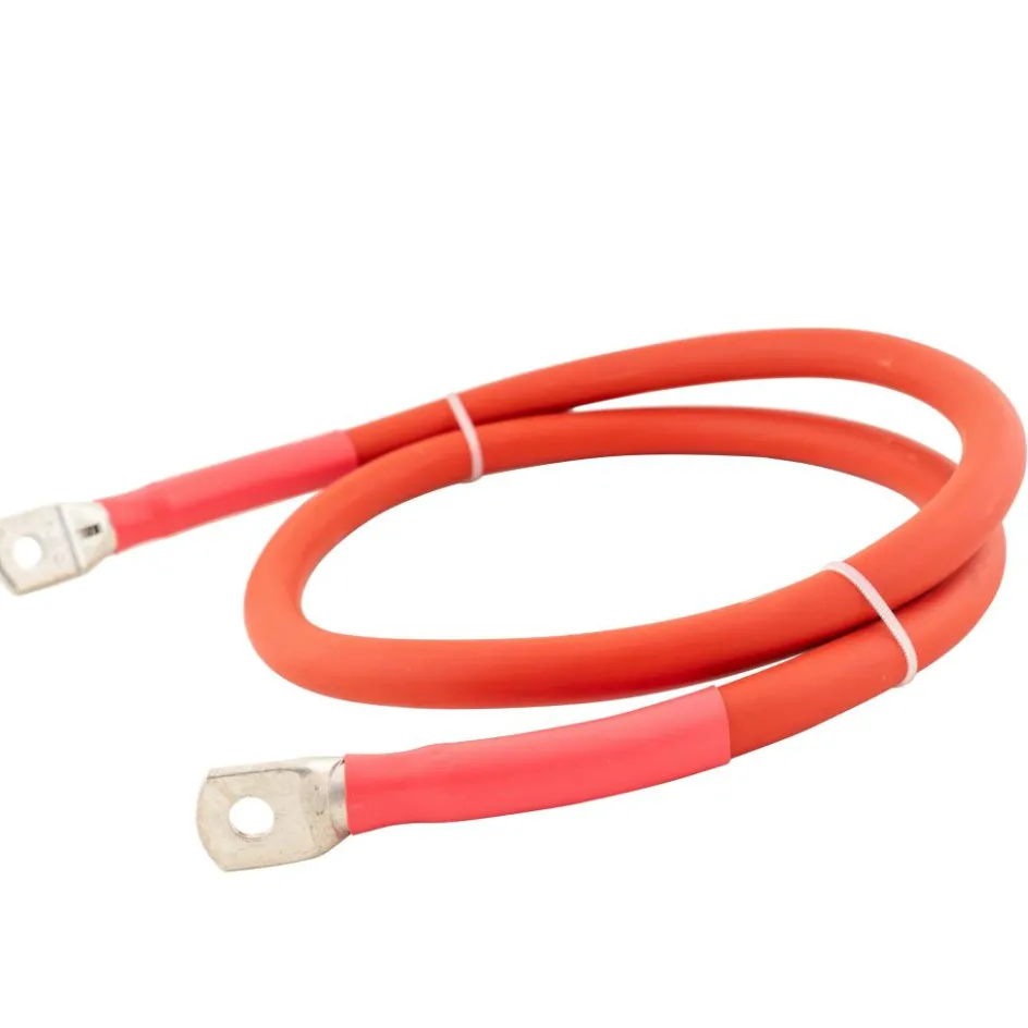 DWS Accukabel M8-M8 50 mm² rood 1 meter