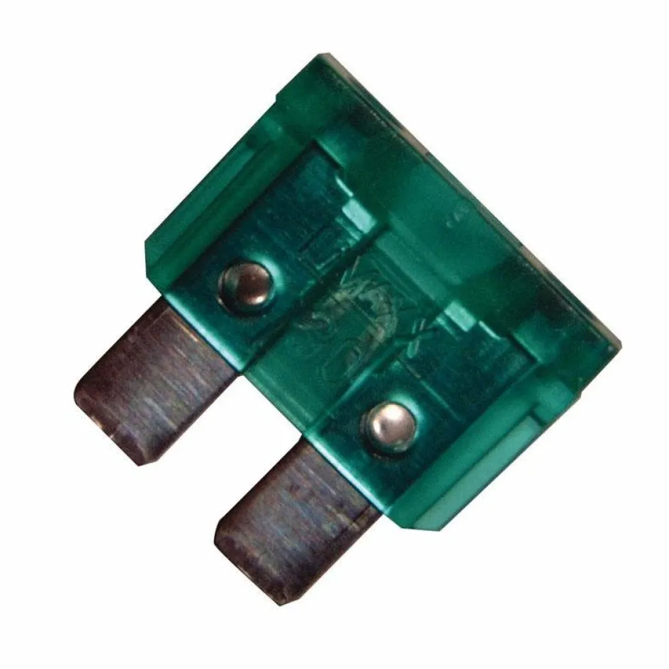 DWS steekzekeringen 30A set van 6 stuks