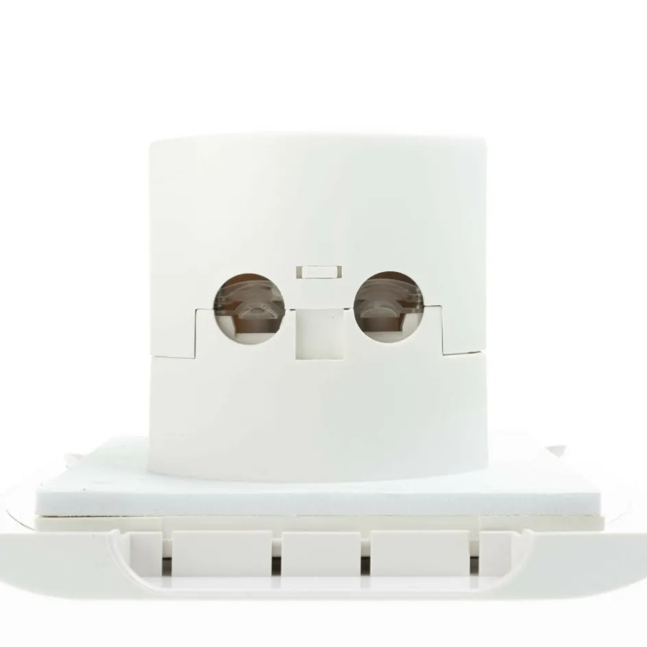 Haba Element Line CEE invoerdoos