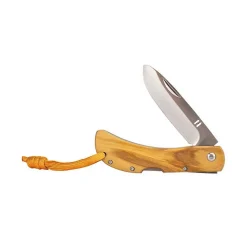 Online Homey's Joey EDC zakmes hout zilver