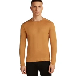 Icebreaker M 260 Tech LS thermoshirt heren trail