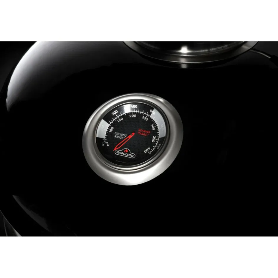 Sale Napoleon PRO18 houtskoolbarbecue 47 cm black