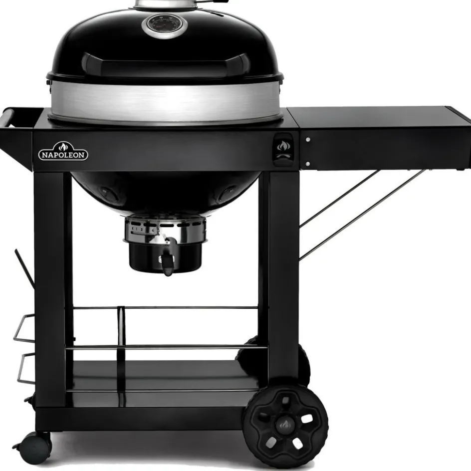 Online Napoleon PRO22 mobiele houtskoolbarbecue 57 cm black