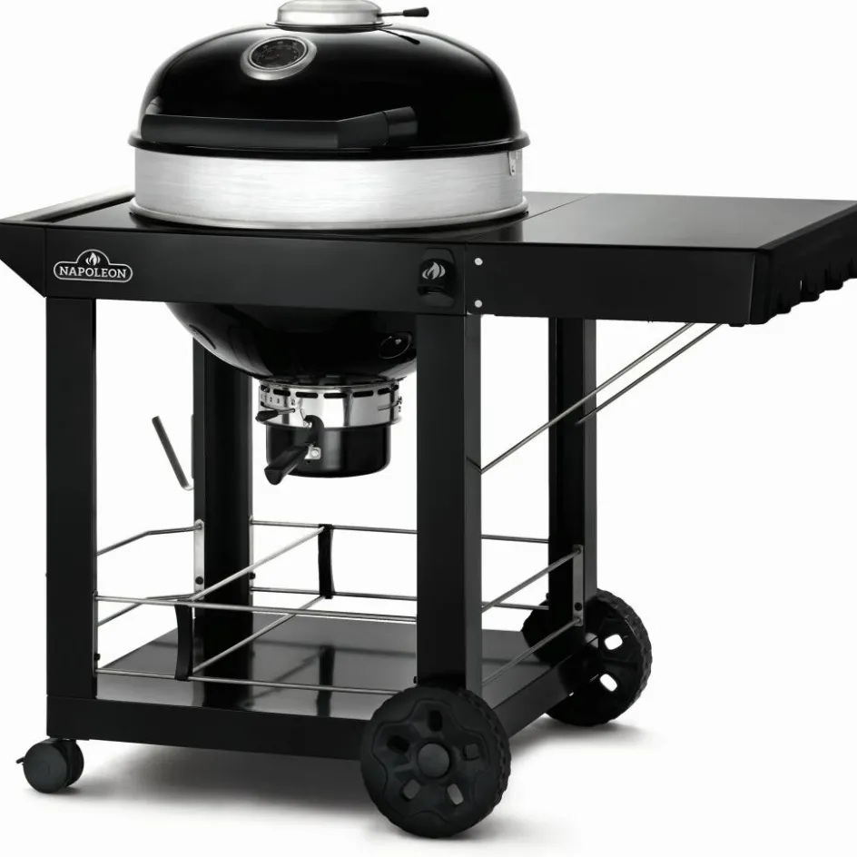 Online Napoleon PRO22 mobiele houtskoolbarbecue 57 cm black