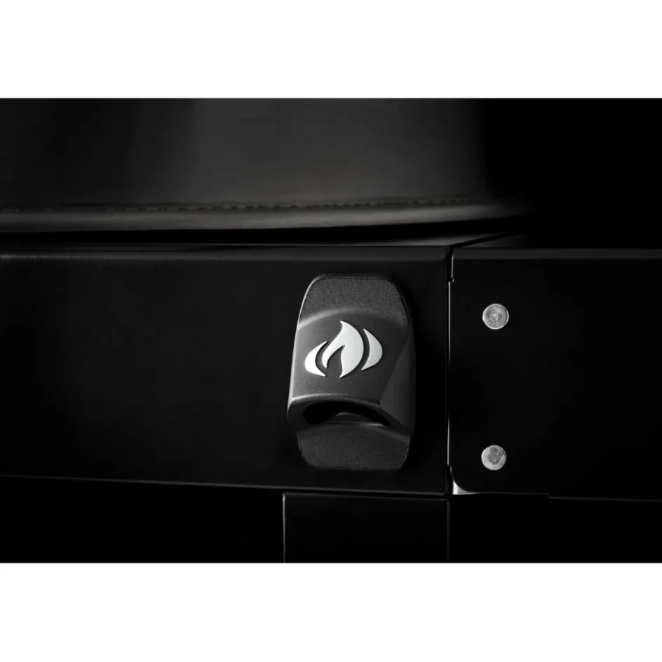 Online Napoleon PRO22 mobiele houtskoolbarbecue 57 cm black