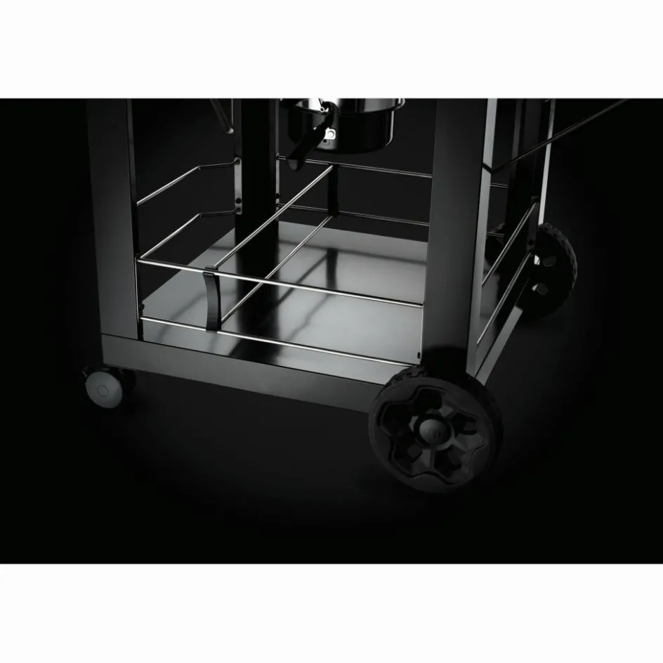 Online Napoleon PRO22 mobiele houtskoolbarbecue 57 cm black