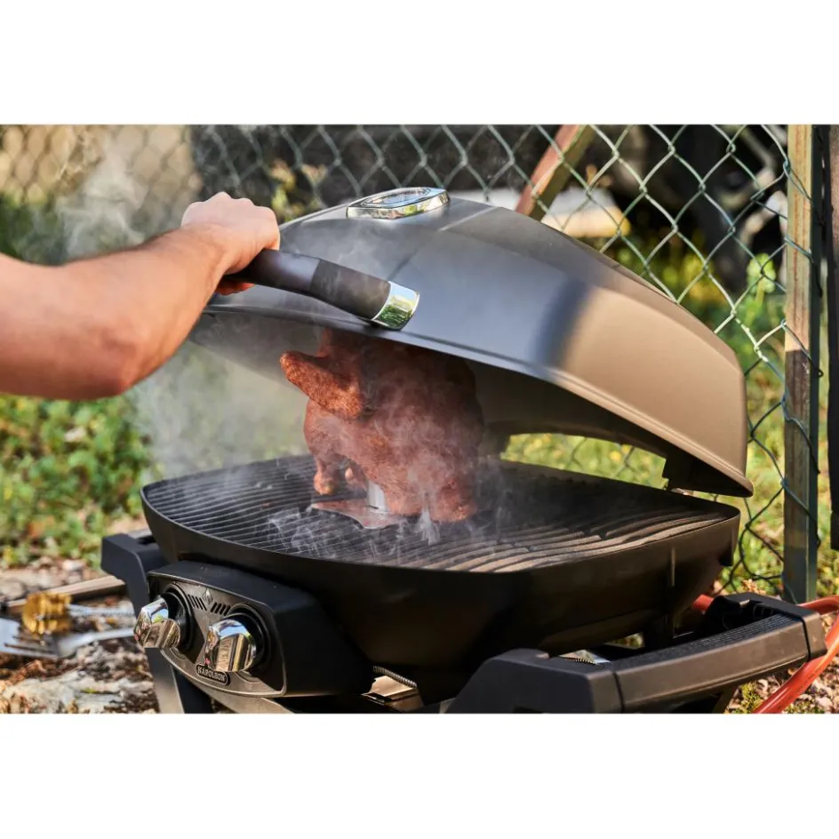 Napoleon TravelQ smokerbox