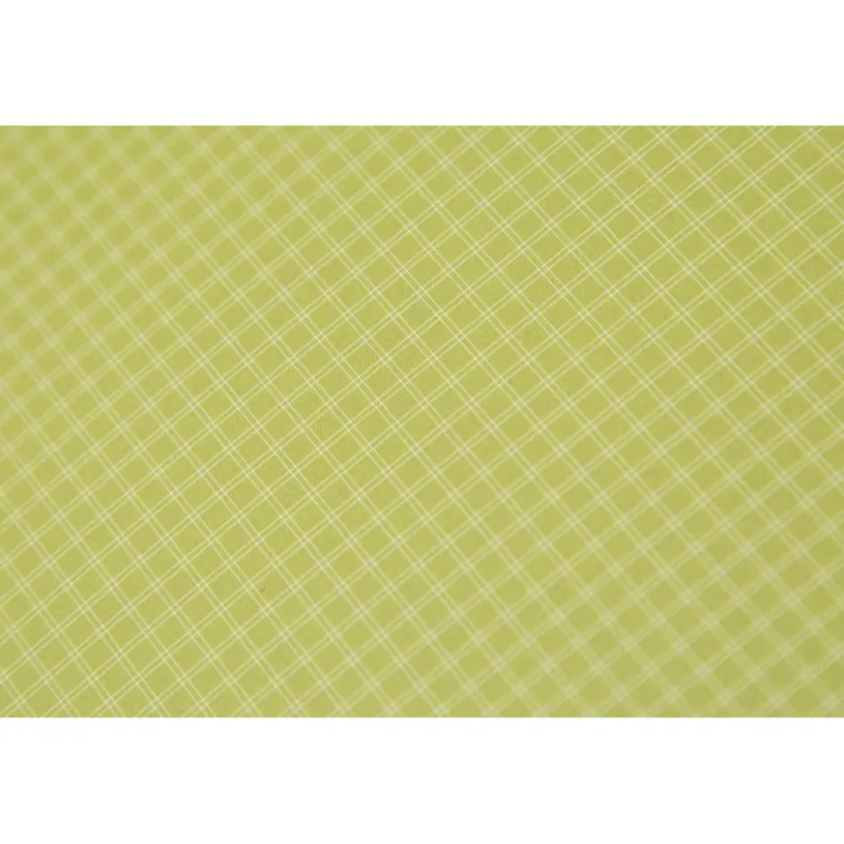 Nemo Dagger Ridge OSMO 3 lichtgewicht koepeltent birch bud