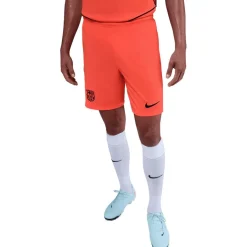 Outlet Nike FC Barcelona derde short heren 25 - 26