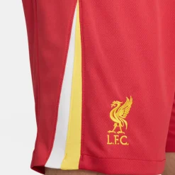 Nike Liverpool FC Stadium thuisshort 24 - 25