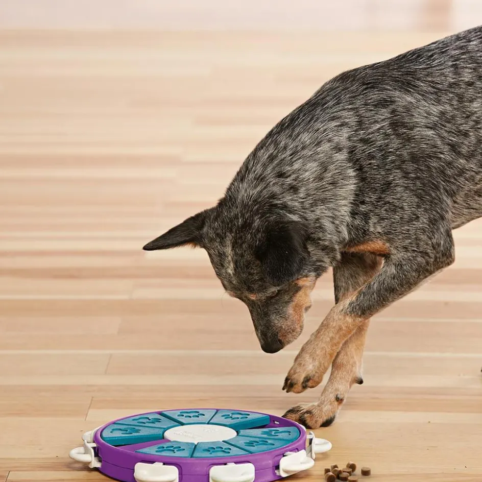 Nina Ottosson Dog Twister hondenspeelgoed