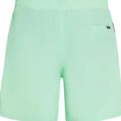 O'Neill Vert 16 inch zwembroek heren mildrew mint