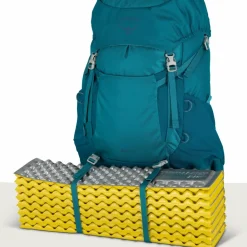 Outlet Osprey Ace 38 backpack 38L junior blue spikemoss deep peyto