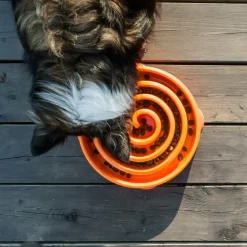 Outlet Outward Hound Fun Feeder Slo Bowl voerbak oranje