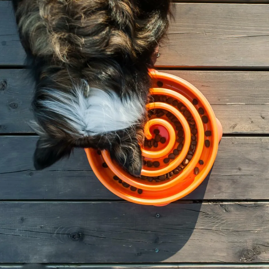 Outlet Outward Hound Fun Feeder Slo Bowl voerbak oranje