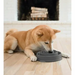 Discount Outward Hound  Fun Feeder Drop Medium voerbak grey