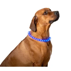 Best Pet Comfort  LED hondenhalsband 2 kleuren assorti