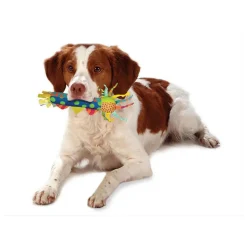 Online Petstages Cool Teething Stick hondenspeelgoed