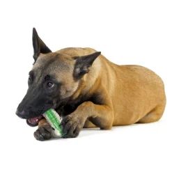 Sale Petstages Crunchcore hondenspeelgoed M