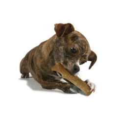 Petstages Dogwood Stick hondenspeelgoed XS