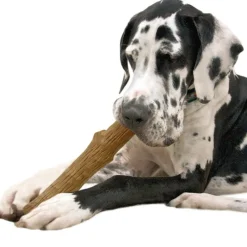 Petstages Dogwood stick hondenspeelgoed L