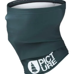 Online Picture col ponderosa pine