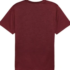 Hot Puma TAD ESSENTIALS shirt heren ruby shimmer heather