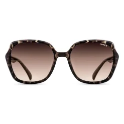 Sinner Montara zonnebril brown crystal brown tortoise