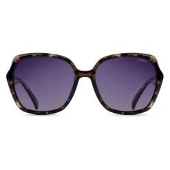 Discount Sinner Montara zonnebril smoke black grey tortoise