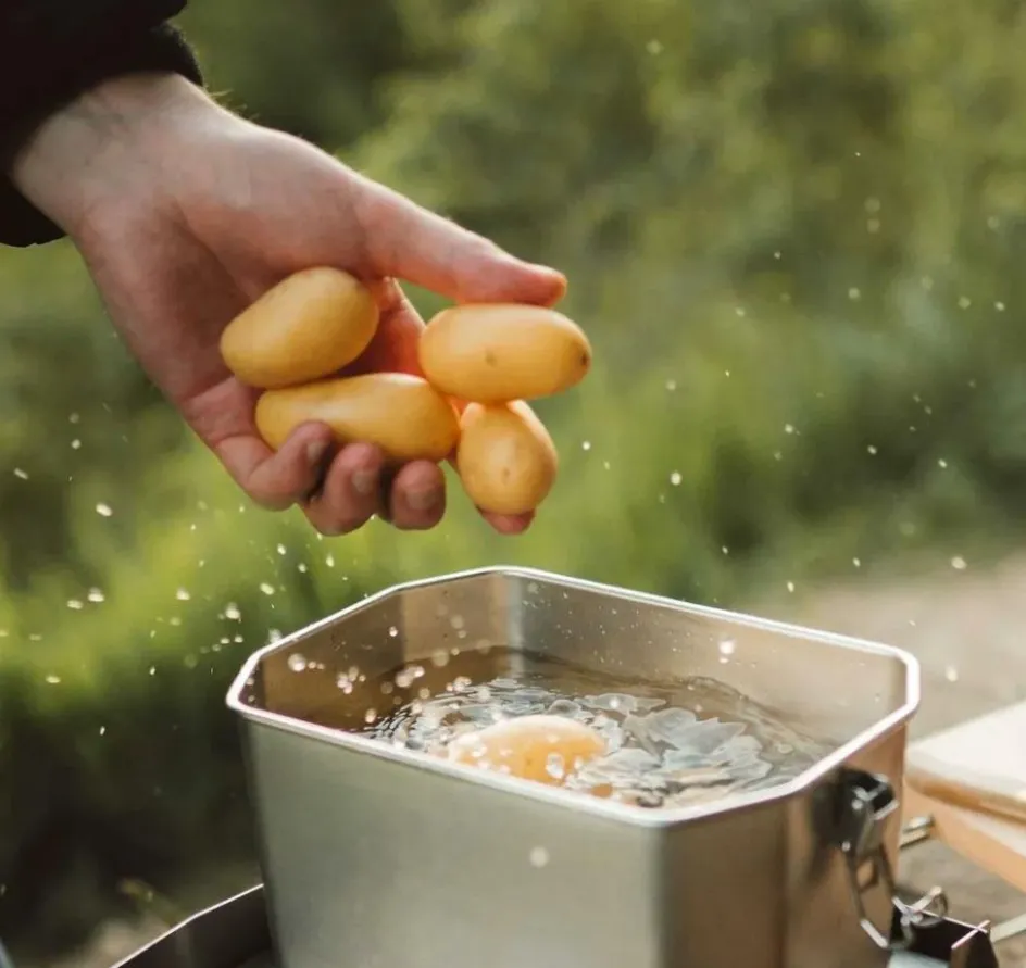 Clearance SKOTTI Braadpan 2,5 liter