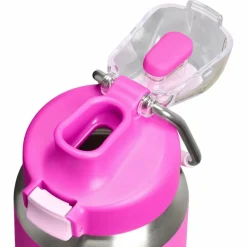 Outlet Stanley PMI  Classic Wellspring Bottle thermosfles 710 ml violet blossom