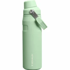 Stanley PMI Iceflow Bottle Fast Flow thermosfles 710 ml pistachio
