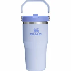 Online Stanley PMI Iceflow Flip Straw Tumbler thermosbeker 590 ml dew drop