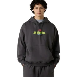 Best The North Face  Expedition Celebration Oversized hoodie anthracite grey