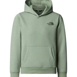 Best The North Face Redbox hoodie junior slate moss new taupe green