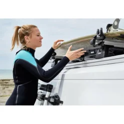 Sale Thule Ladder Van trap