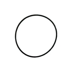 Truma TT2 O-ring 65 mm