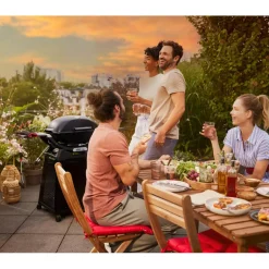 Sale Weber Q 2800N+ gasbarbecue black inclusief onderstel